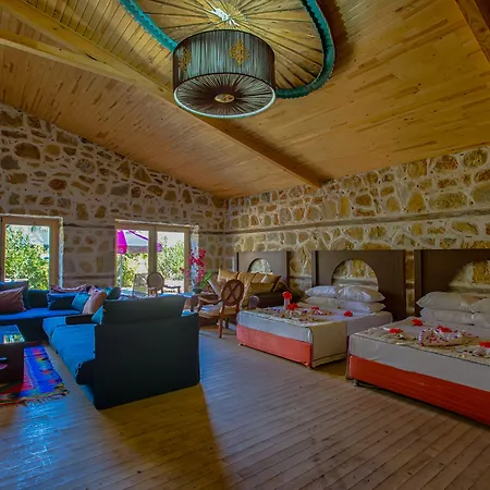 Club Anjeliq Hotell 5*