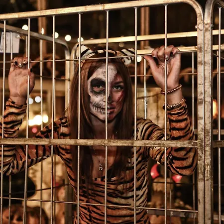 Club Anjeliq Hotel 5*