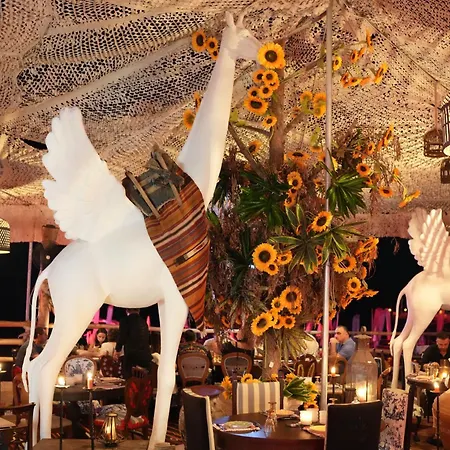 Hotel Club Anjeliq 5*